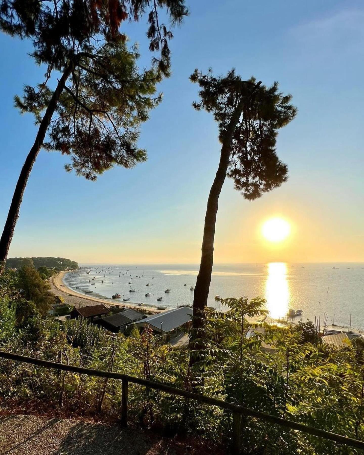 Cocon Entre Presqu'Ile Du Cap Ferret Et Plages Oceanes - Terrasse - 1 Velo Gratuit アレ エクステリア 写真