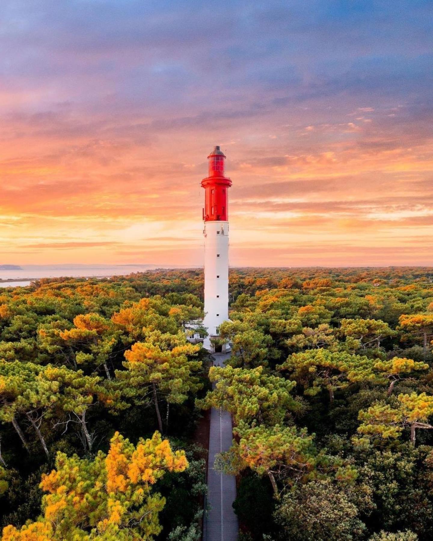 Cocon Entre Presqu'Ile Du Cap Ferret Et Plages Oceanes - Terrasse - 1 Velo Gratuit アレ エクステリア 写真