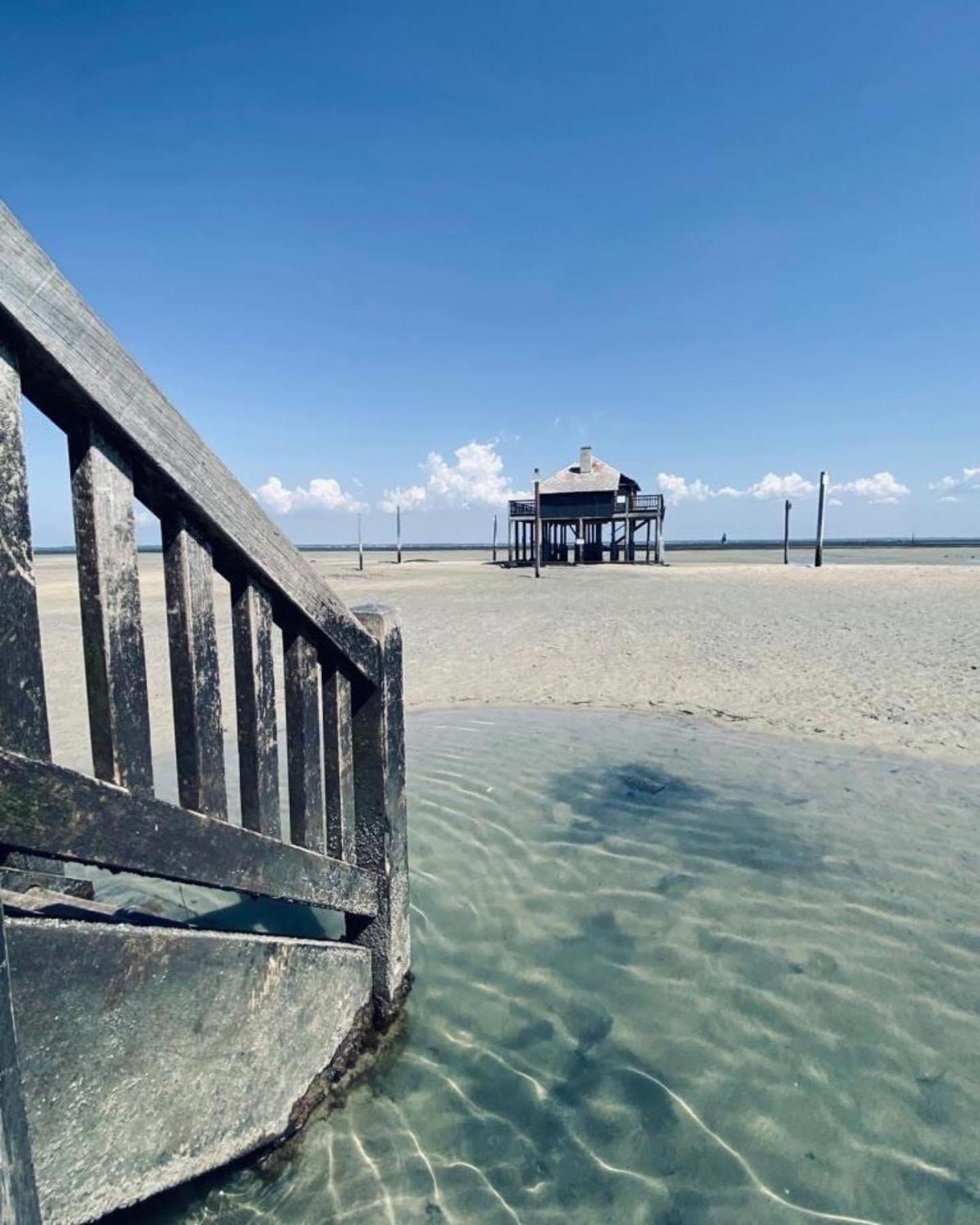 Cocon Entre Presqu'Ile Du Cap Ferret Et Plages Oceanes - Terrasse - 1 Velo Gratuit アレ エクステリア 写真