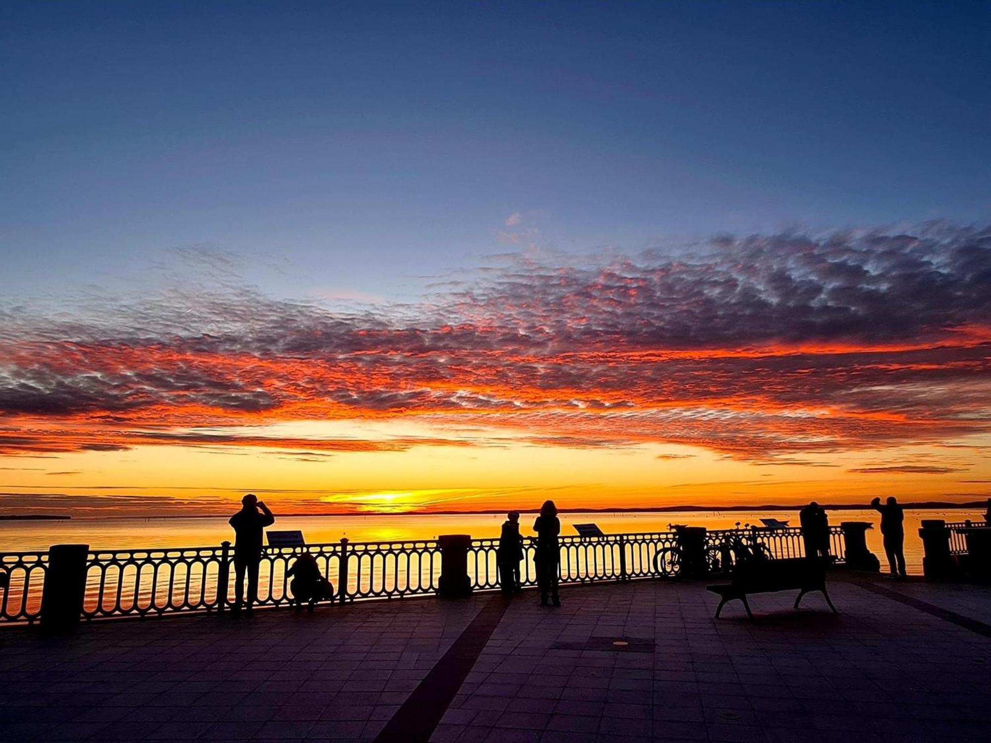 Cocon Entre Presqu'Ile Du Cap Ferret Et Plages Oceanes - Terrasse - 1 Velo Gratuit アレ エクステリア 写真
