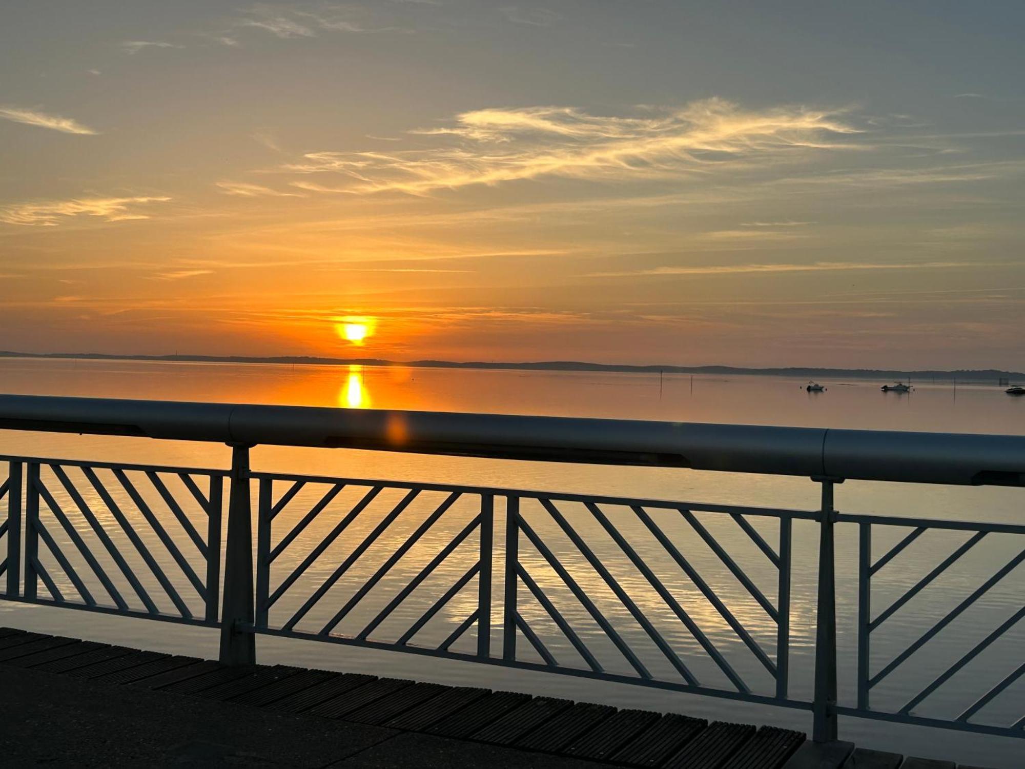 Cocon Entre Presqu'Ile Du Cap Ferret Et Plages Oceanes - Terrasse - 1 Velo Gratuit アレ エクステリア 写真