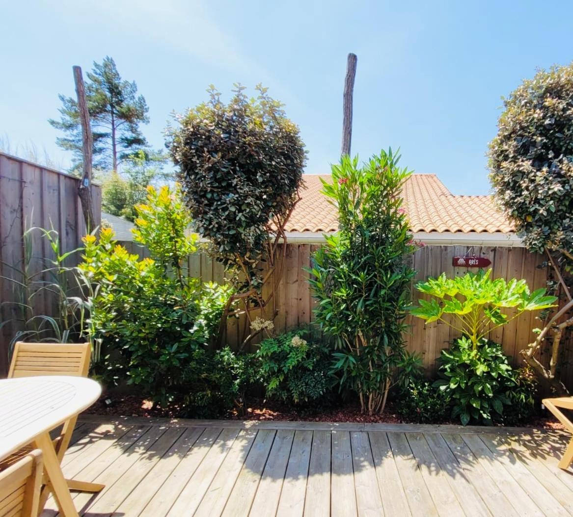 Cocon Entre Presqu'Ile Du Cap Ferret Et Plages Oceanes - Terrasse - 1 Velo Gratuit アレ エクステリア 写真