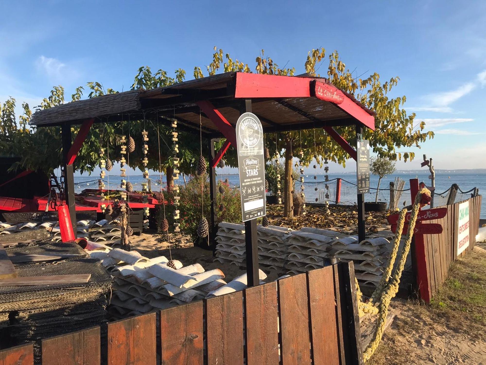 Cocon Entre Presqu'Ile Du Cap Ferret Et Plages Oceanes - Terrasse - 1 Velo Gratuit アレ エクステリア 写真