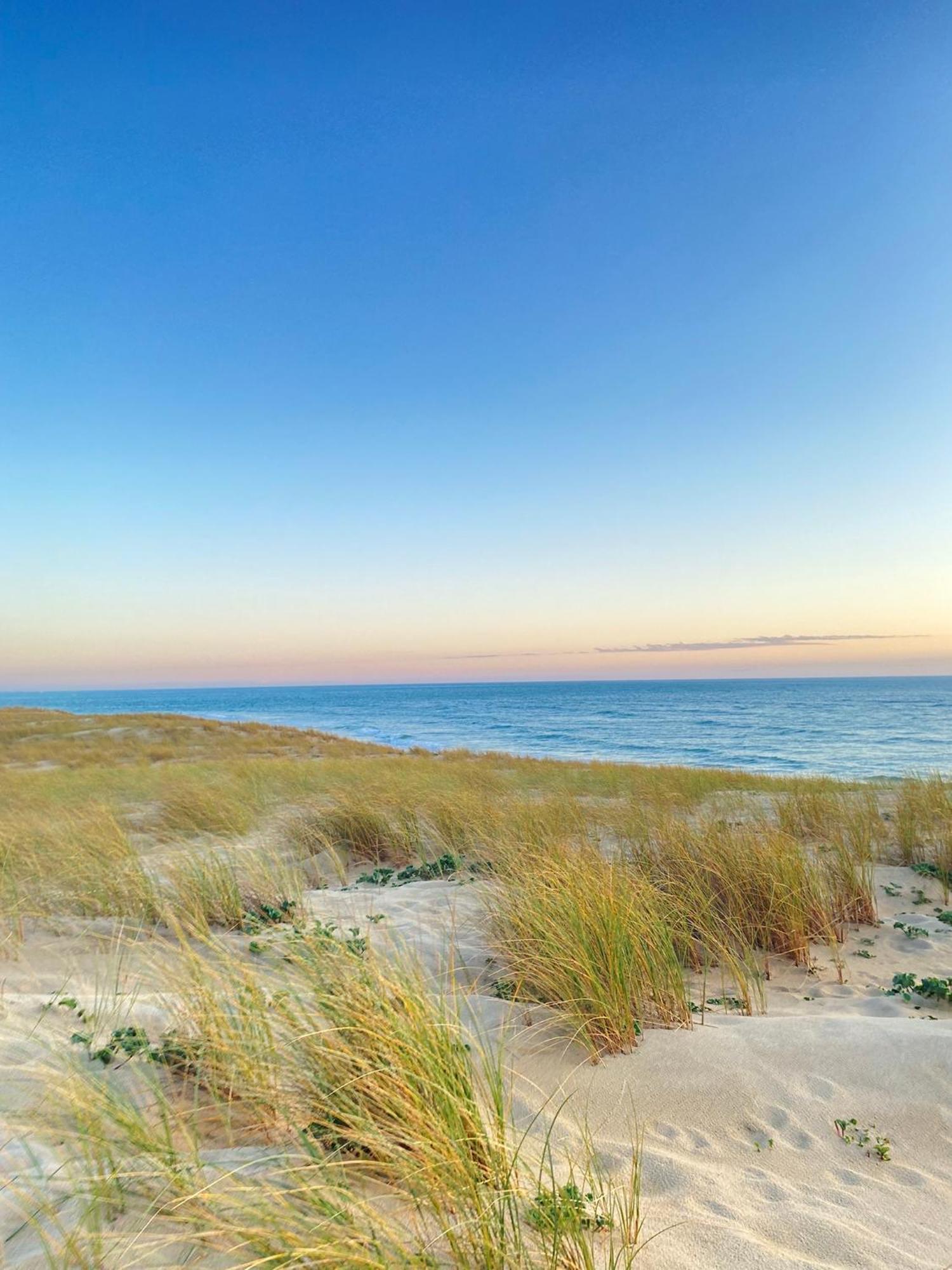 Cocon Entre Presqu'Ile Du Cap Ferret Et Plages Oceanes - Terrasse - 1 Velo Gratuit アレ エクステリア 写真