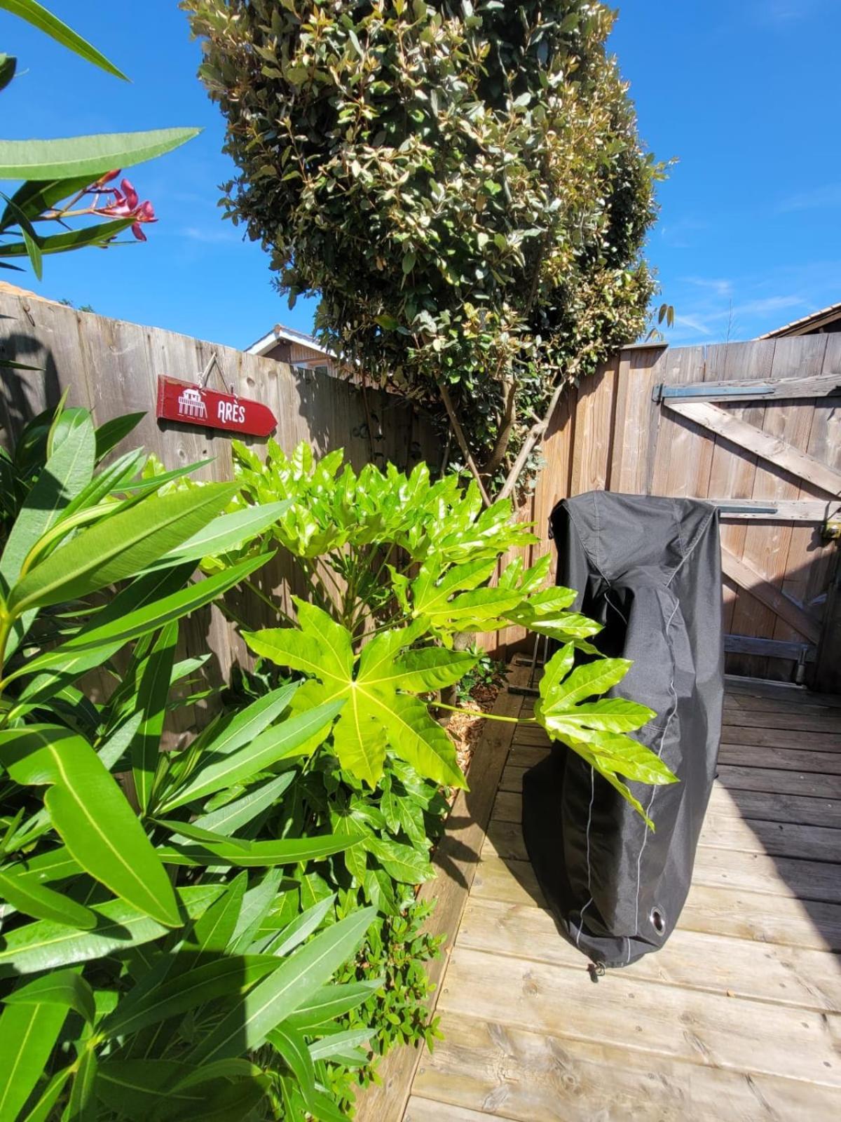 Cocon Entre Presqu'Ile Du Cap Ferret Et Plages Oceanes - Terrasse - 1 Velo Gratuit アレ エクステリア 写真